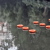 Orange rings