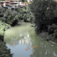 Orange rings