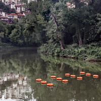 Orange rings