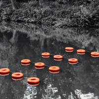 Orange rings
