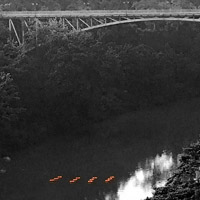 Orange rings